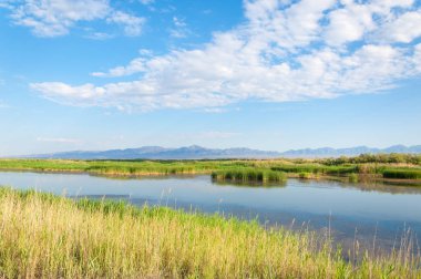 Bozkır yaz. Turgai Kaydet. Çölde Gölü