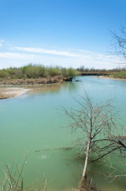 Bozkır nehir sazlık yaz