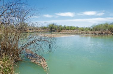 Bozkır nehir sazlık yaz