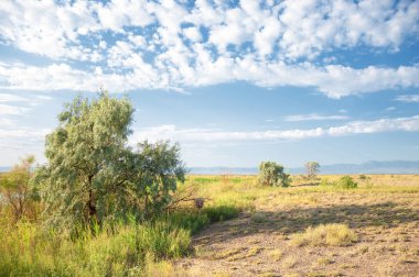 Bozkır yaz. Turgai Kaydet. Çölde Gölü