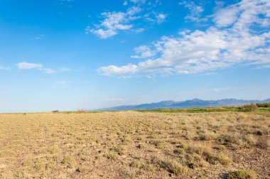 Bozkır yaz. Turgai Kaydet. Çölde Gölü