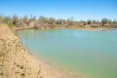 Bozkır nehir sazlık yaz
