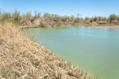 Bozkır nehir sazlık yaz