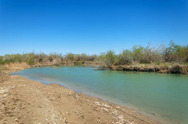 Bozkır nehir sazlık yaz