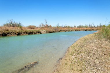 Bozkır nehir sazlık yaz