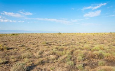 Bozkır yaz. Turgai Kaydet. Çölde Gölü