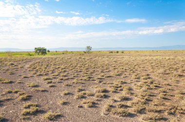 Bozkır yaz. Turgai Kaydet. Çölde Gölü