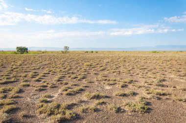 Bozkır yaz. Turgai Kaydet. Çölde Gölü