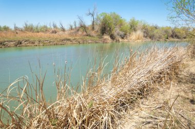 Bozkır nehir sazlık yaz