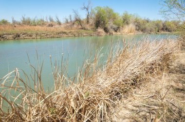 Bozkır nehir sazlık yaz