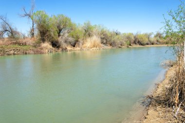 Bozkır nehir sazlık yaz