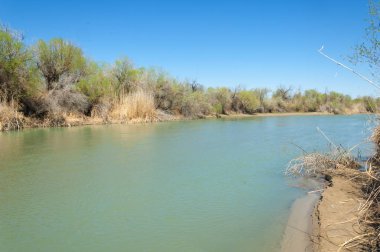 Bozkır nehir sazlık yaz