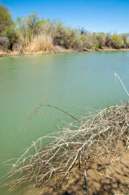 Bozkır nehir sazlık yaz