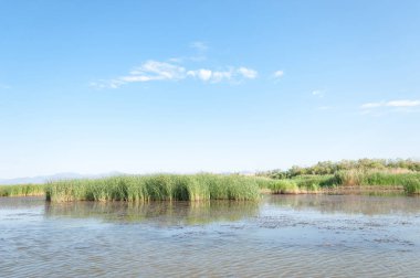Bozkır yaz. Turgai Kaydet. Çölde Gölü