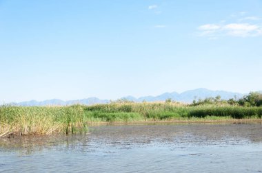 Bozkır yaz. Turgai Kaydet. Çölde Gölü