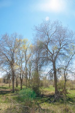 Bozkır, bozkır, bozkır, bozkır