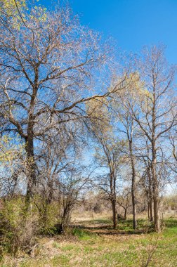 Bozkır, bozkır, bozkır, bozkır