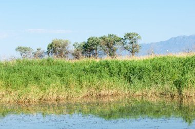Bozkır yaz. Turgai Kaydet. Çölde Gölü