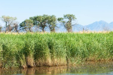 Bozkır yaz. Turgai Kaydet. Çölde Gölü