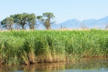 Bozkır yaz. Turgai Kaydet. Çölde Gölü