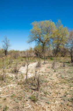 Bozkır, bozkır, bozkır, bozkır