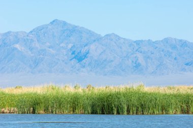 Bozkır yaz. Turgai Kaydet. Çölde Gölü