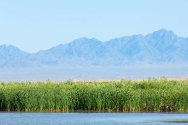 Bozkır yaz. Turgai Kaydet. Çölde Gölü