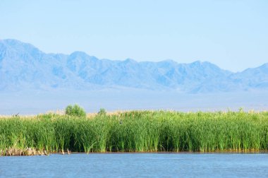 Bozkır yaz. Turgai Kaydet. Çölde Gölü