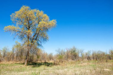 Bozkır, bozkır, bozkır, bozkır