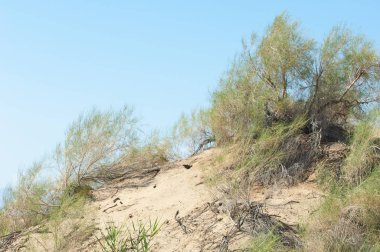 Bozkır yaz. Turgai Kaydet. Çölde Gölü