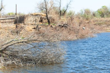Çöl, vahşi doğa, kumlar, yabani hayvanlar, atıklar, sahara