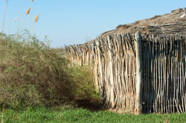 Çöl, vahşi doğa, kumlar, yabani hayvanlar, atıklar, sahara
