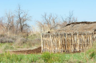 Çöl, vahşi doğa, kumlar, yabani hayvanlar, atıklar, sahara