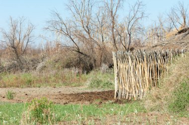 Çöl, vahşi doğa, kumlar, yabani hayvanlar, atıklar, sahara