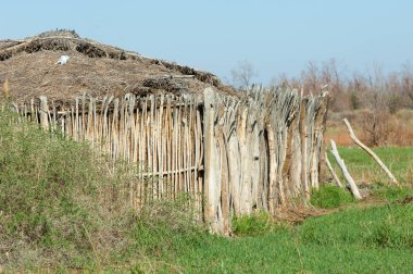 Çöl, vahşi doğa, kumlar, yabani hayvanlar, atıklar, sahara