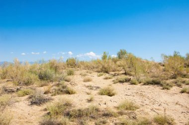 Bozkır yaz. Turgai Kaydet. Çölde Gölü