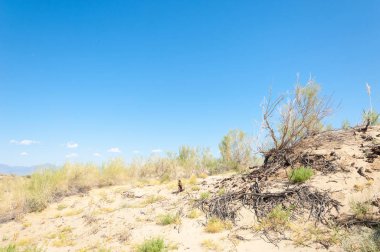 Bozkır yaz. Turgai Kaydet. Çölde Gölü