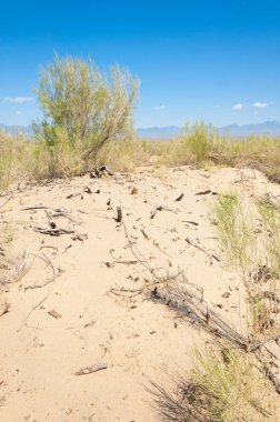 Bozkır yaz. Turgai Kaydet. Çölde Gölü