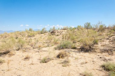 Bozkır yaz. Turgai Kaydet. Çölde Gölü