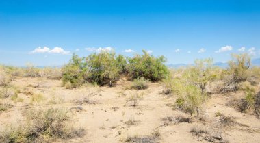 Bozkır yaz. Turgai Kaydet. Çölde Gölü