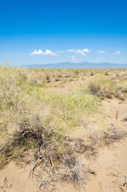 Bozkır yaz. Turgai Kaydet. Çölde Gölü