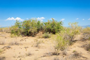 Bozkır yaz. Turgai Kaydet. Çölde Gölü