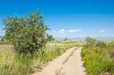 Bozkır yaz. Turgai Kaydet. Çölde Gölü