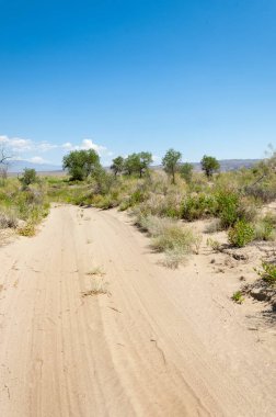 Bozkır yaz. Turgai Kaydet. Çölde Gölü