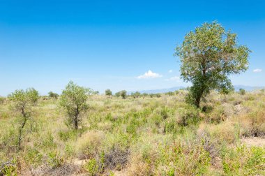 Bozkır yaz. Turgai Kaydet. Çölde Gölü