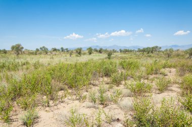 Bozkır yaz. Turgai Kaydet. Çölde Gölü