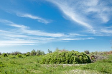 Bozkır, çayır, veldt, veld, taşkın