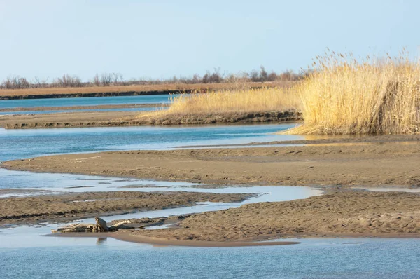 Río en la estepa de primavera — Foto de Stock