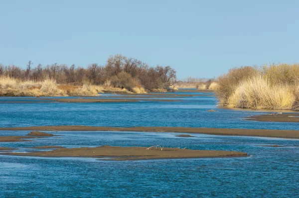 Fluss in der Frühlingssteppe — Stockfoto