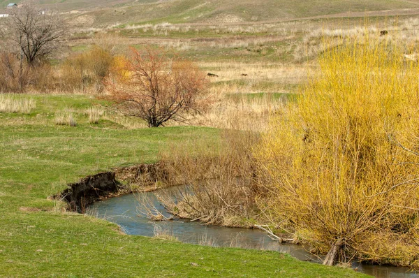 Spring creek — Stock Photo, Image